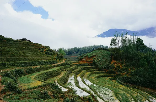 Asia